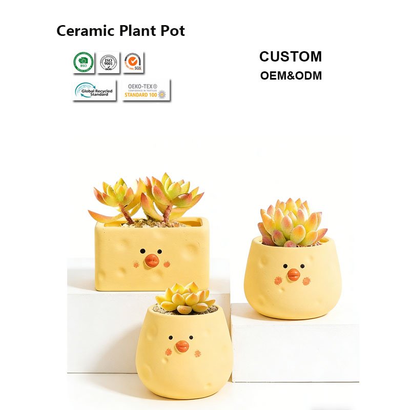 Custom Ceramic Plant Pots Manufacturer – OEM Flower Pots for Brands, Retailers & Nurseries 1 Custom Ceramic Plant Pots Manufacturer
