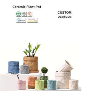 Minimalist Ceramic Plant Pots