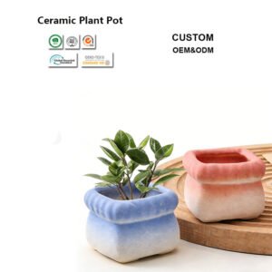 Large Ceramic Plant Pots