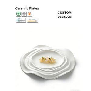 COMAIN PRODUCTS 37 Stoneware Dinner Plates