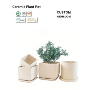 Modern Ceramic Planter Set