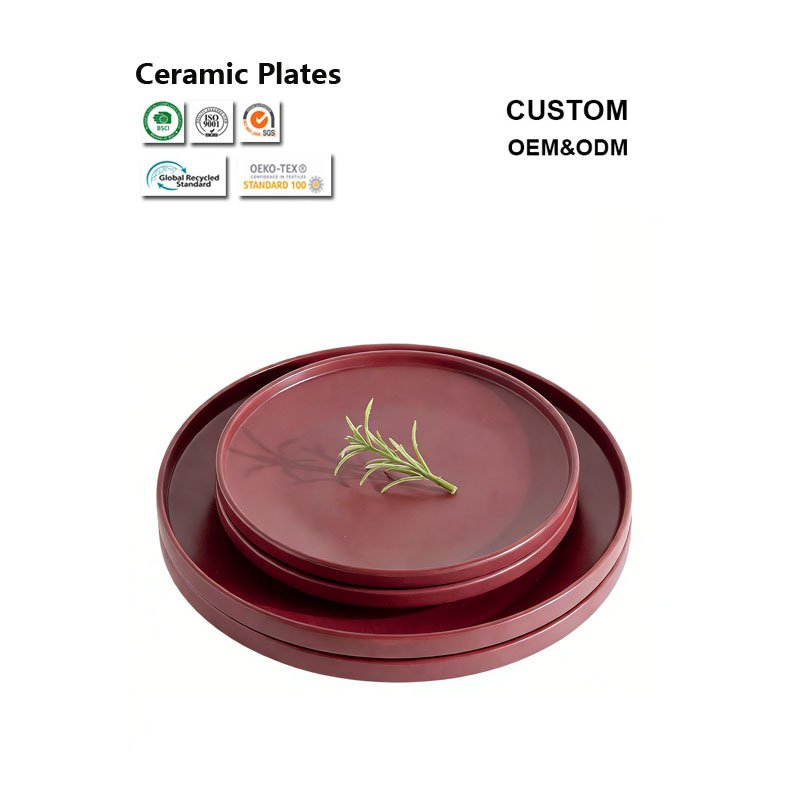 Rustic Ceramic Dinner Plates – Handmade Style Tableware for Restaurants, Cafes & Home Dining 6 Modern Ceramic Plates Set