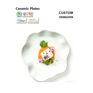 Bulk Ceramic Dinner Plates