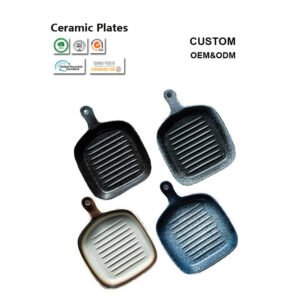 Large Ceramic Dinner Plates